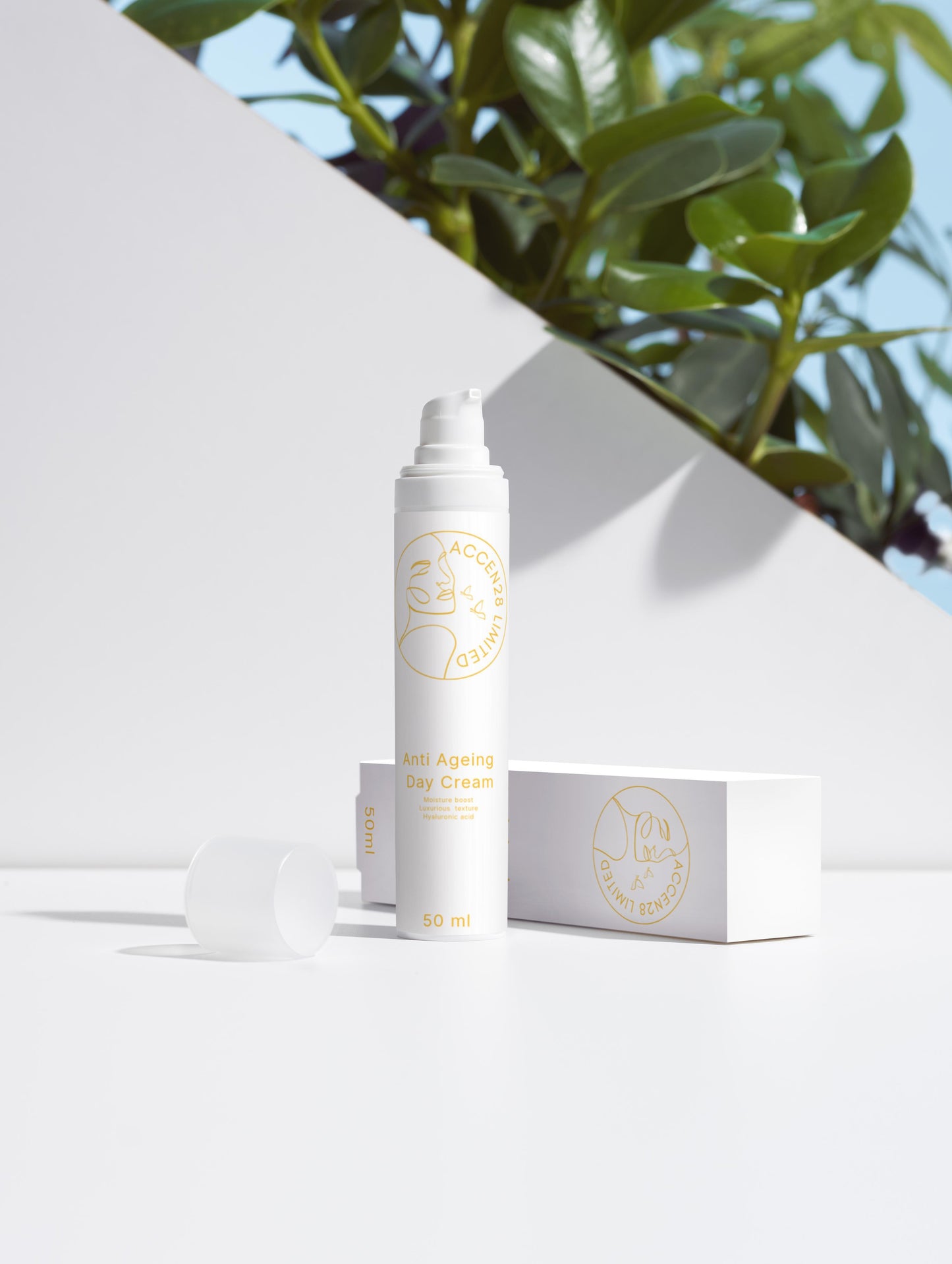 Anti-Ageing Collection Box